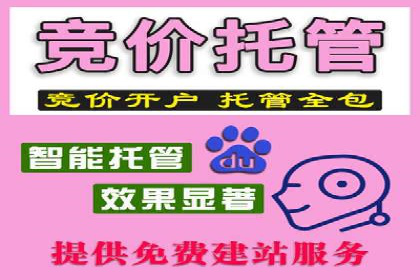 行业新秀的SEM托管代运营之路